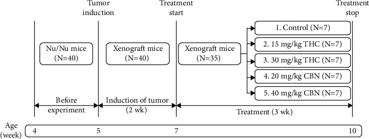 PMC9705094 – fig1