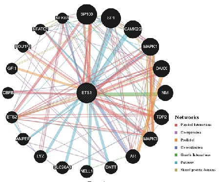 PMC9033344 – fig10