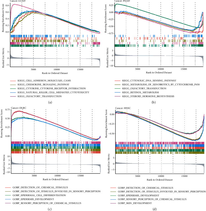 PMC9033344 – fig11