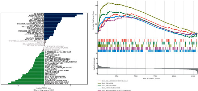 PMC10125759 – fig6