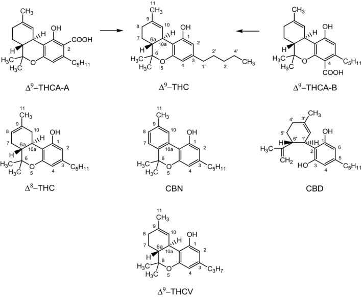 PMC7008849 – efs25953-fig-0001
