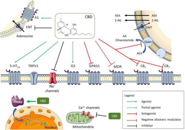 PMC9172591 – efs27322-fig-0001