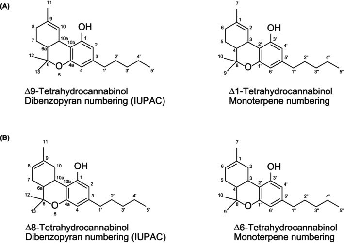 PMC12624367 – efs29735-fig-0001