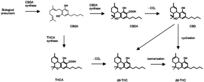 PMC12624367 – efs29735-fig-0002