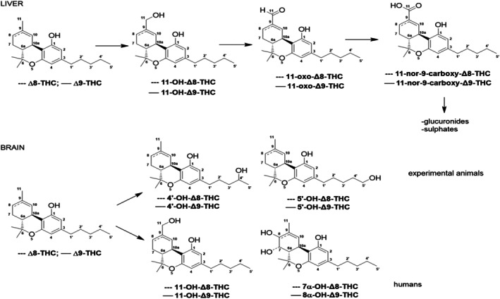 PMC12624367 – efs29735-fig-0003