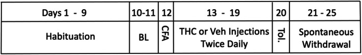 PMC13108161 – ejp70279-fig-0001