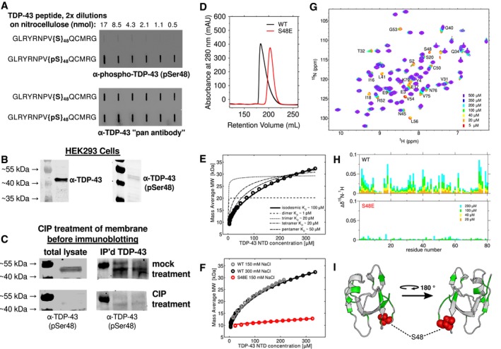 PMC5830921 – embj201797452-fig-0001