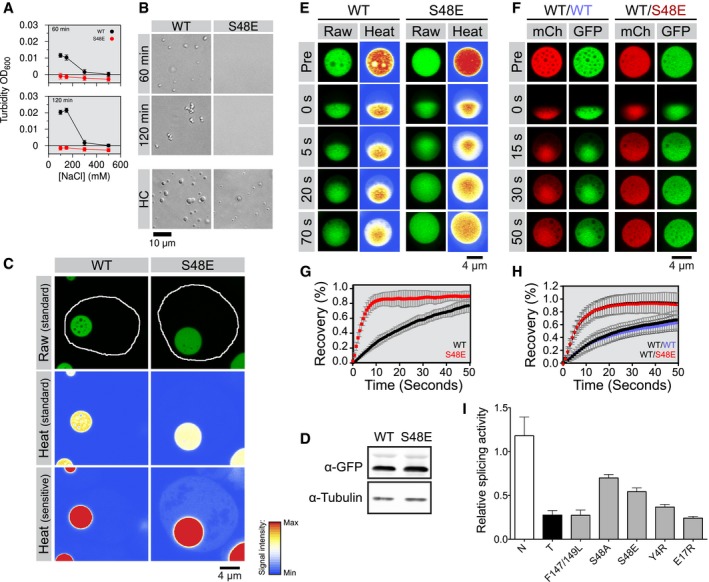 PMC5830921 – embj201797452-fig-0002