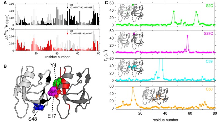 PMC5830921 – embj201797452-fig-0003