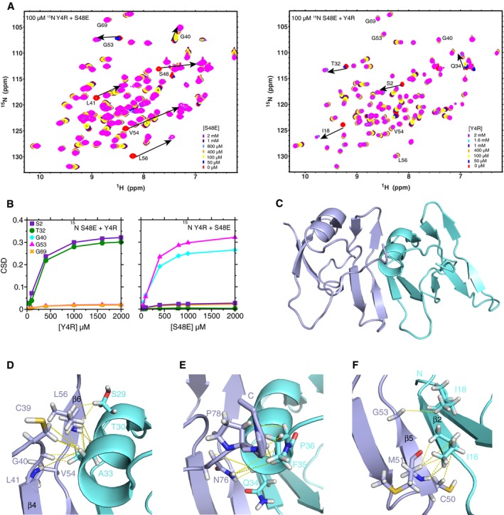 PMC5830921 – embj201797452-fig-0004
