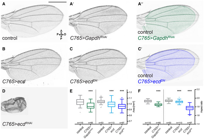 PMC7604625 – embj2019101767-fig-0002