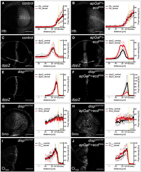 PMC7604625 – embj2019101767-fig-0005