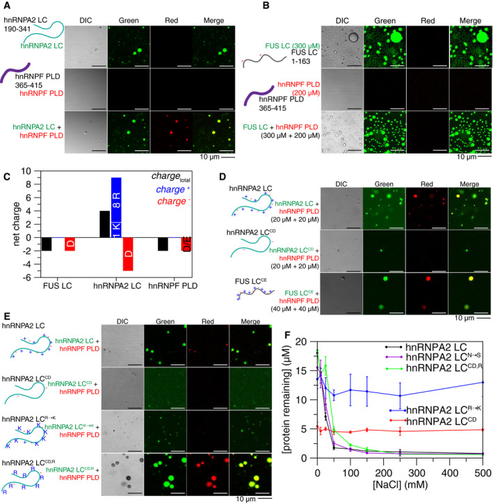 PMC7849316 – embj2020105001-fig-0001