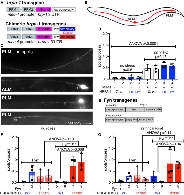 PMC7849316 – embj2020105001-fig-0005