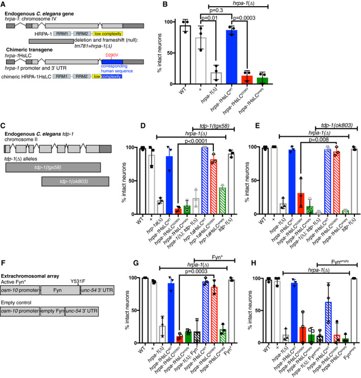 PMC7849316 – embj2020105001-fig-0006