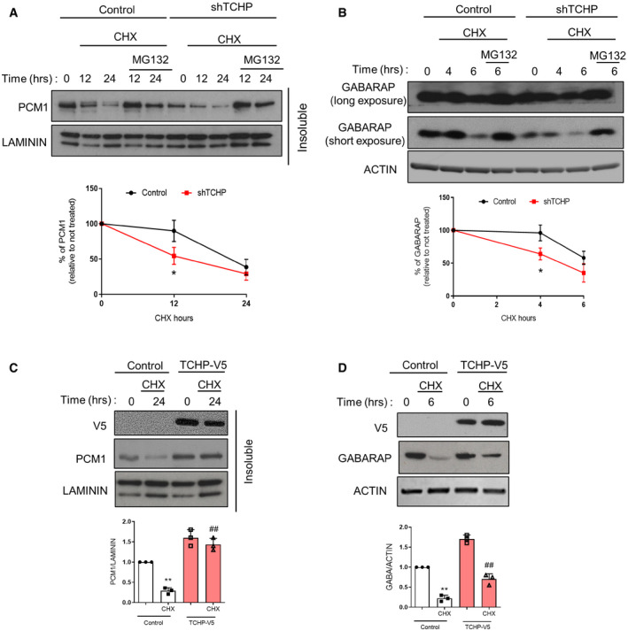 PMC7332983 – embr201948192-fig-0002