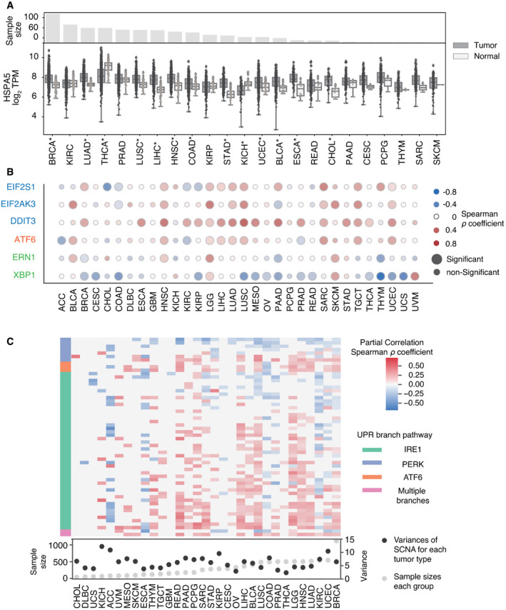 PMC8647024 – embr202152509-fig-0003