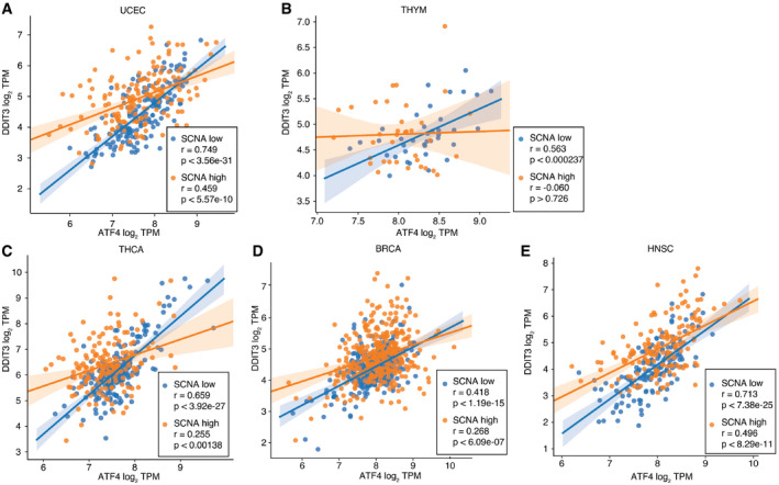 PMC8647024 – embr202152509-fig-0004ev