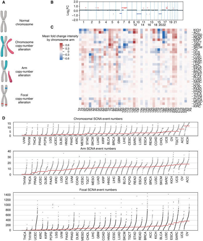 PMC8647024 – embr202152509-fig-0001