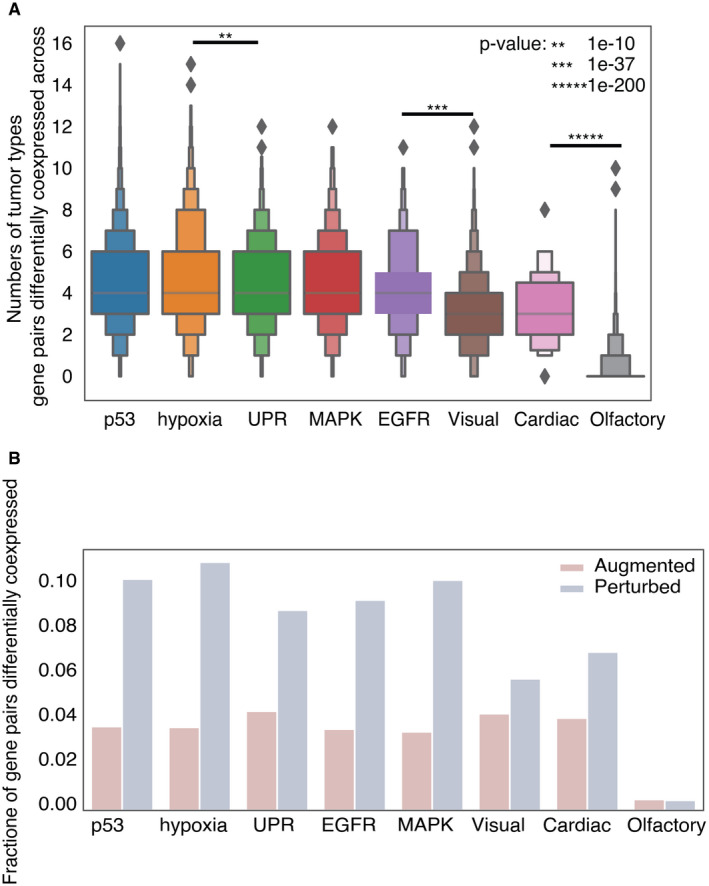 PMC8647024 – embr202152509-fig-0003ev