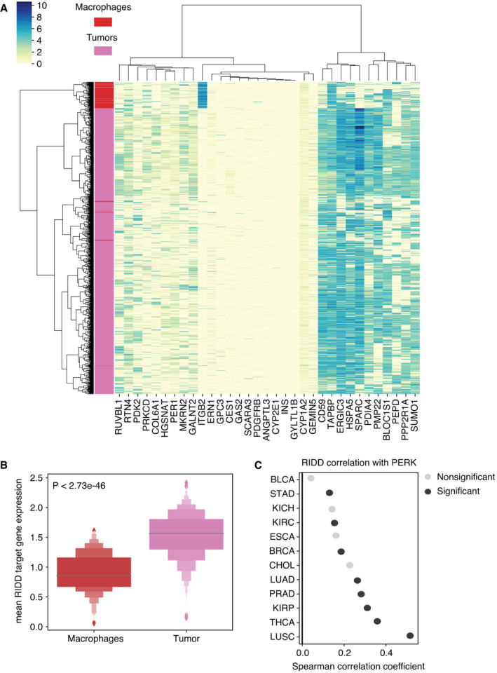 PMC8647024 – embr202152509-fig-0005ev
