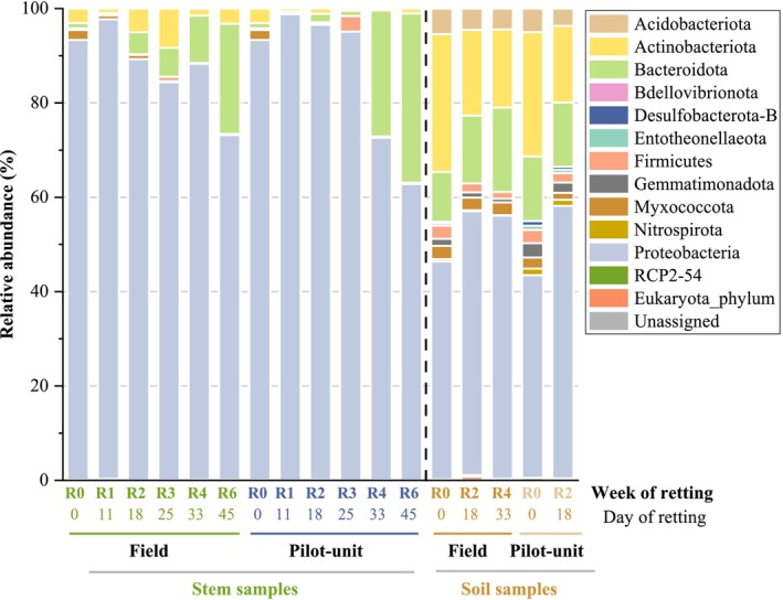 PMC12175878 – emi470102-fig-0003