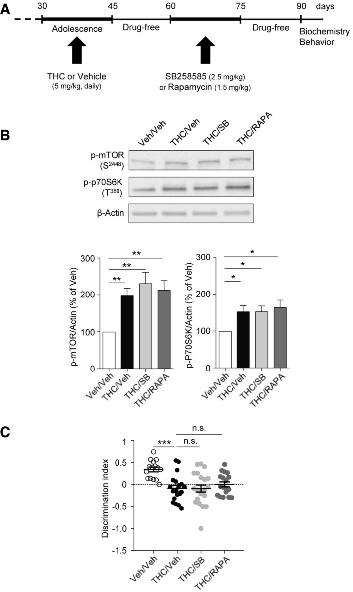 PMC7207164 – emmm201910605-fig-0003