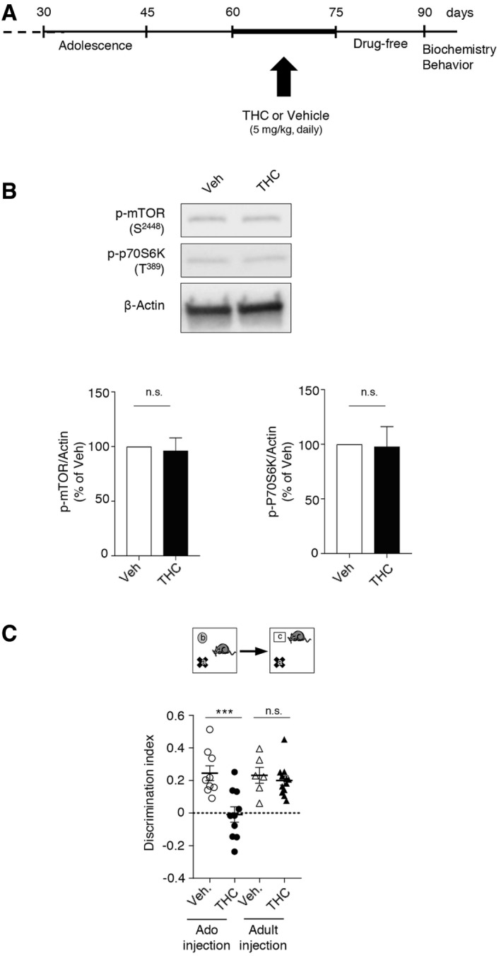 PMC7207164 – emmm201910605-fig-0003ev