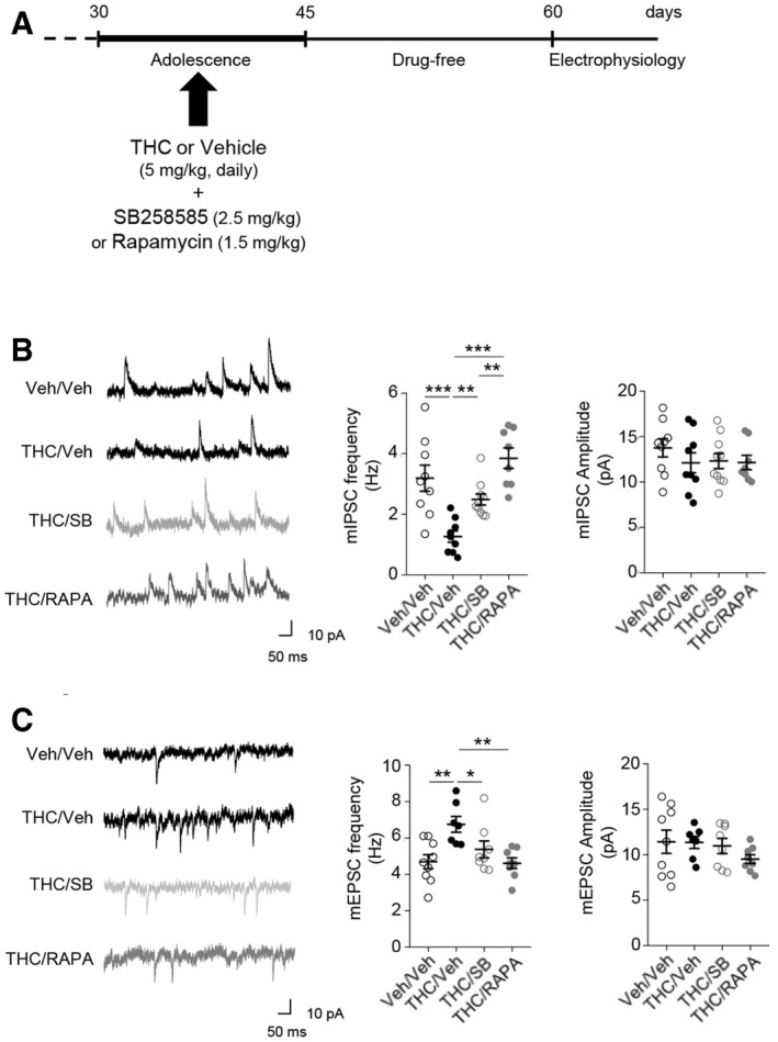 PMC7207164 – emmm201910605-fig-0004