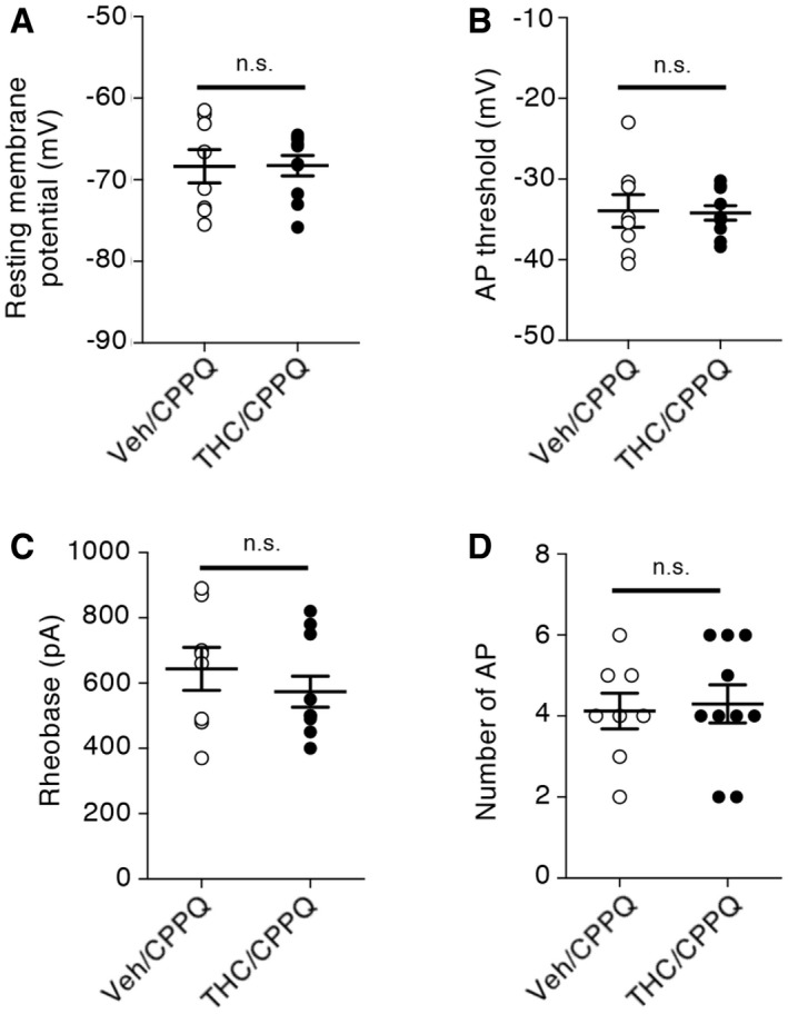 PMC7207164 – emmm201910605-fig-0004ev