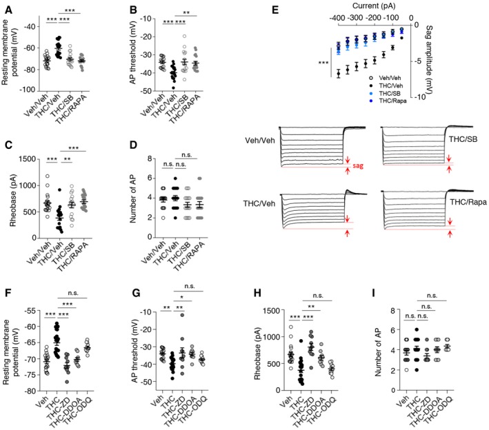 PMC7207164 – emmm201910605-fig-0005