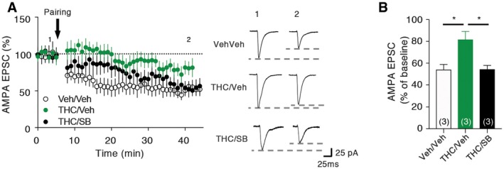 PMC7207164 – emmm201910605-fig-0006