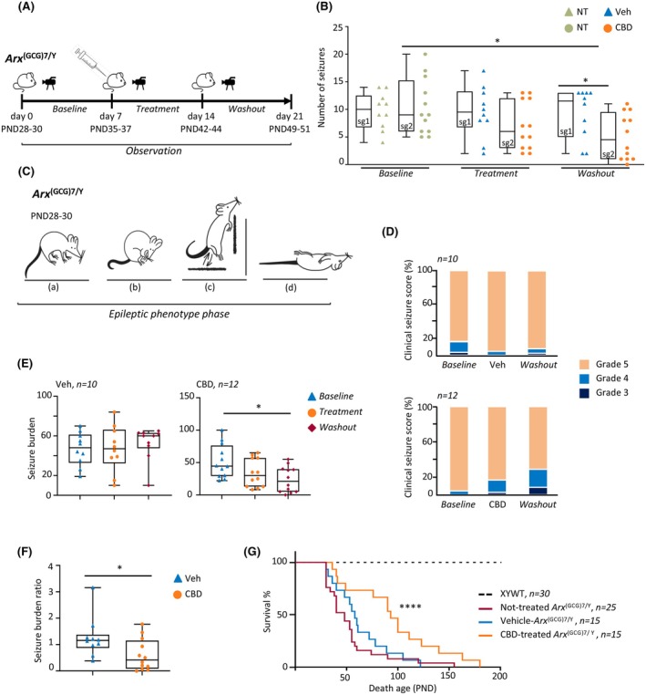 PMC12605674 – epi18522-fig-0001
