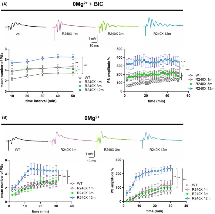 PMC13007839 – epi70024-fig-0003