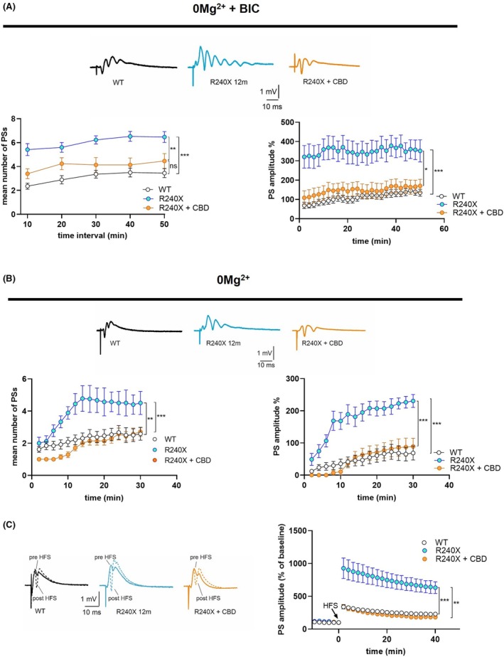PMC13007839 – epi70024-fig-0006