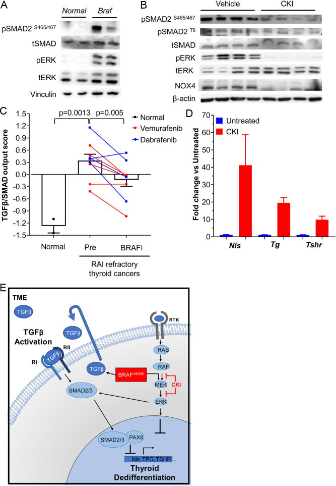 PMC8183640 – fig1