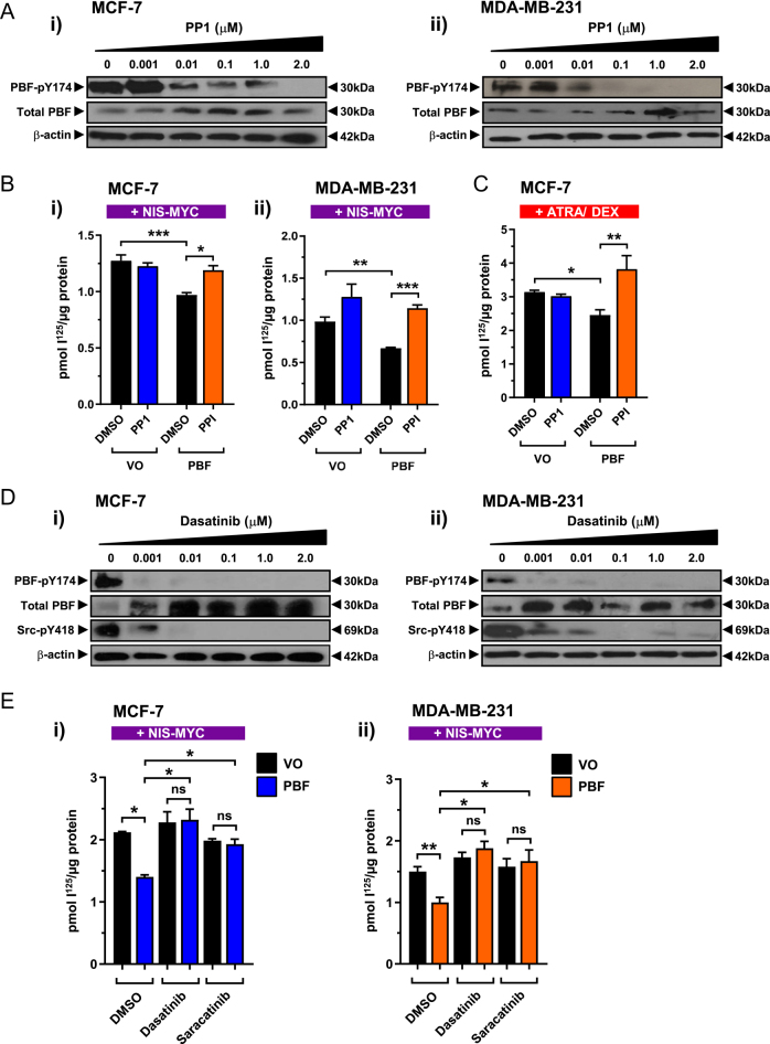PMC12372067 – fig2