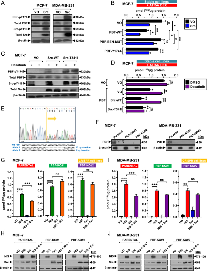 PMC12372067 – fig3