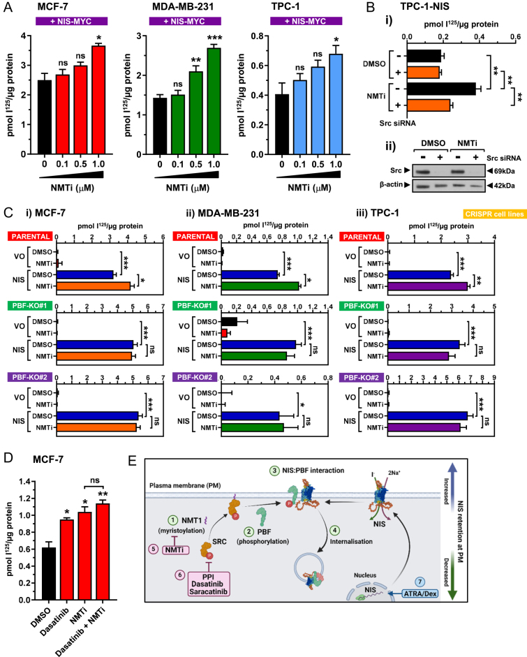 PMC12372067 – fig4