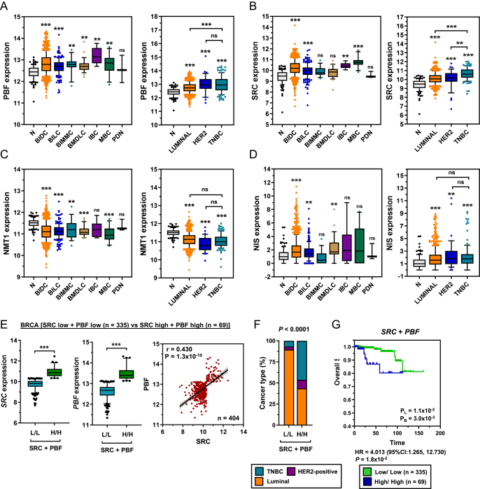 PMC12372067 – fig5