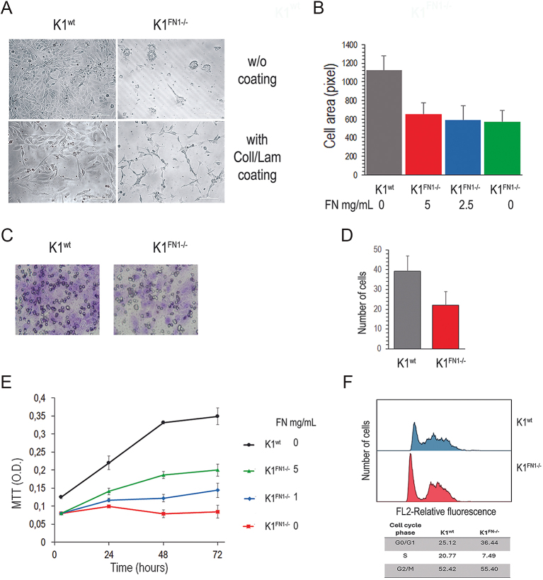 PMC12150248 – fig5