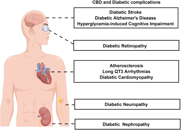 PMC10582612 – exp20230047-fig-0001