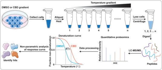 PMC10582612 – exp20230047-fig-0003