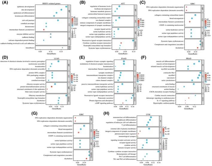 PMC10626275 – feb413698-fig-0014