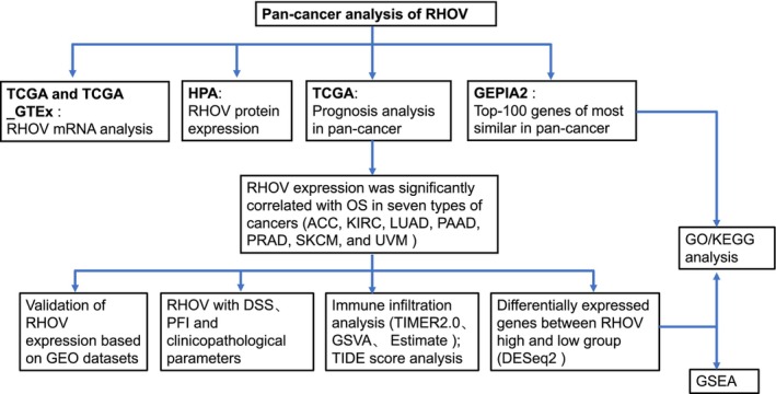 PMC10626275 – feb413698-fig-0001