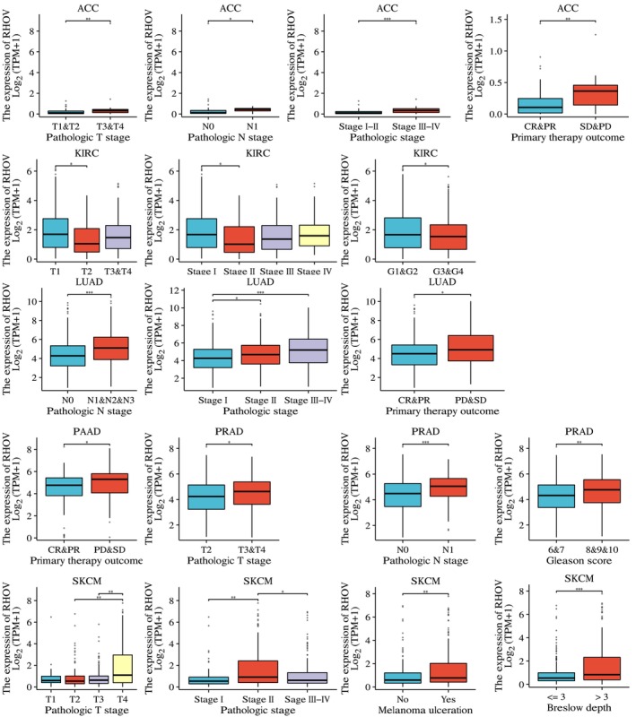 PMC10626275 – feb413698-fig-0009