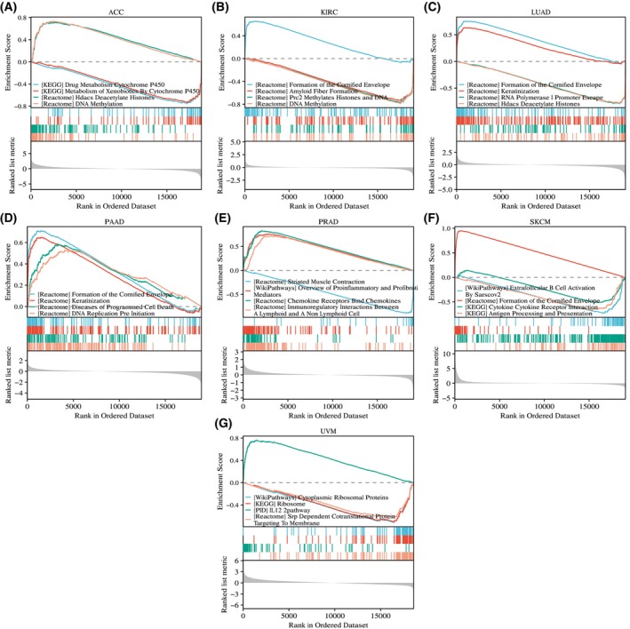 PMC10626275 – feb413698-fig-0015