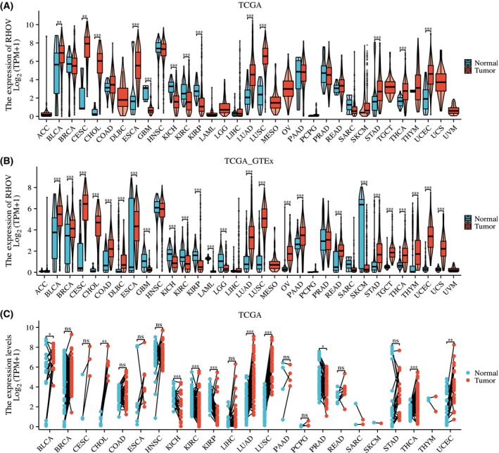 PMC10626275 – feb413698-fig-0002