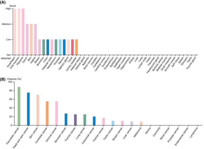 PMC10626275 – feb413698-fig-0003