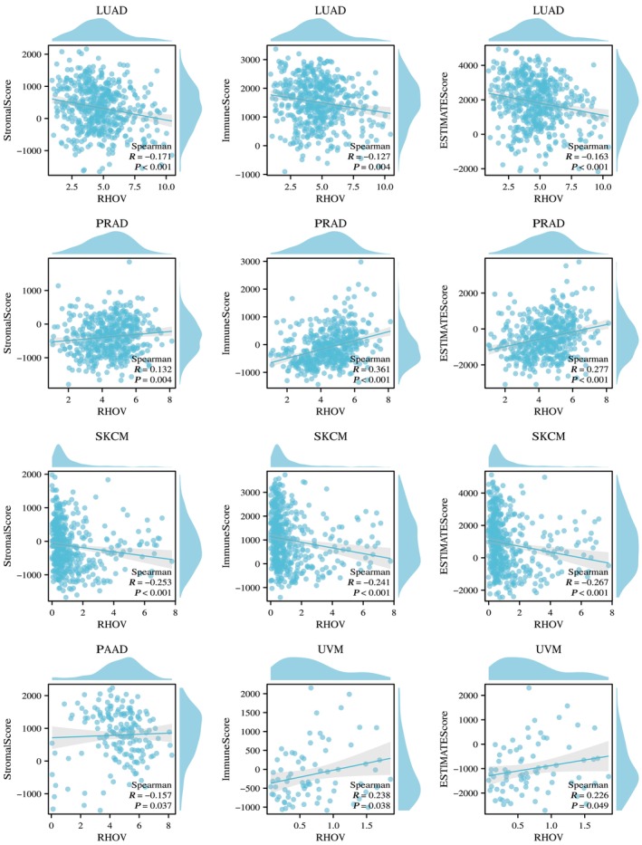PMC10626275 – feb413698-fig-0012
